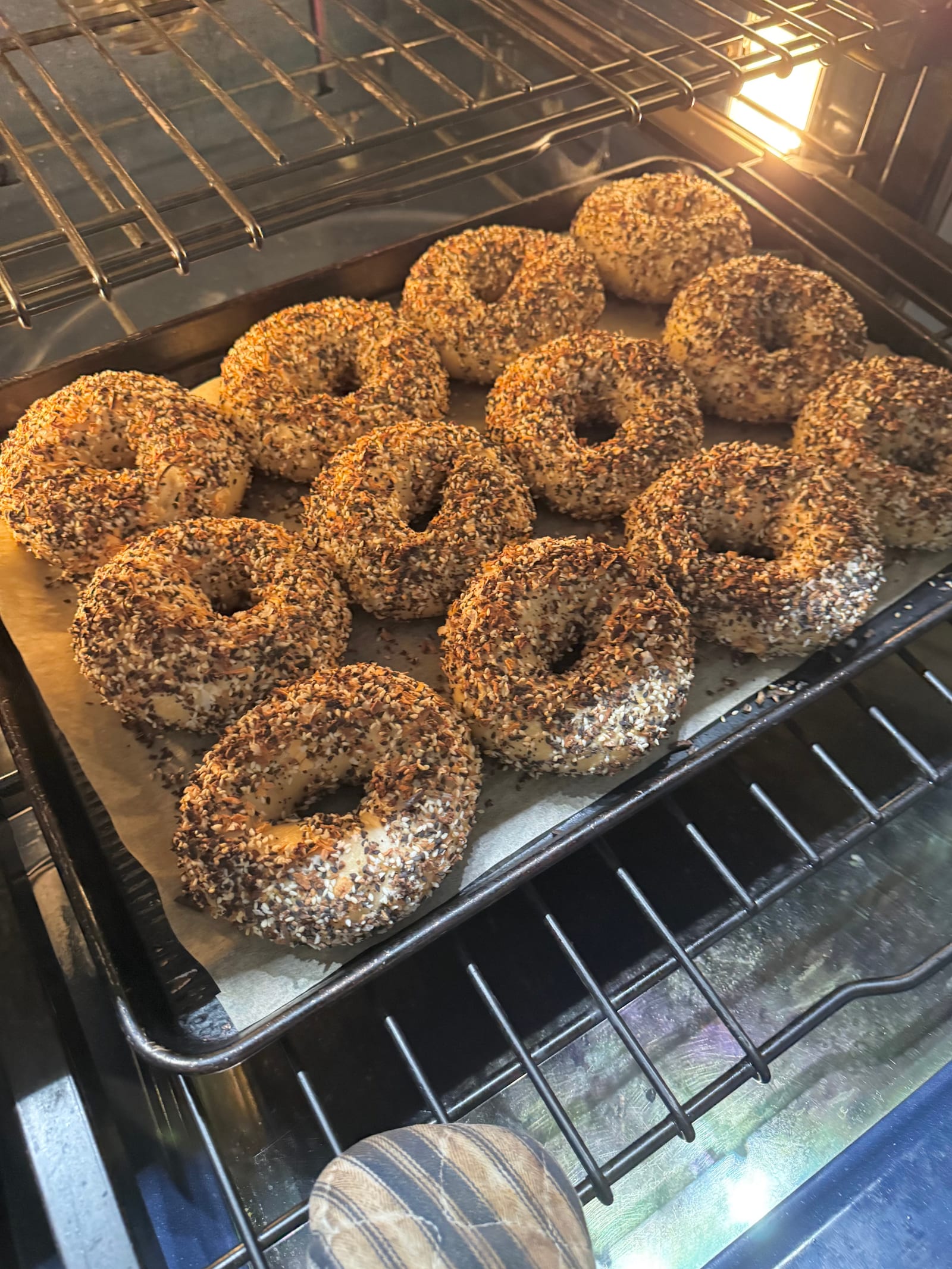Fresh bagels