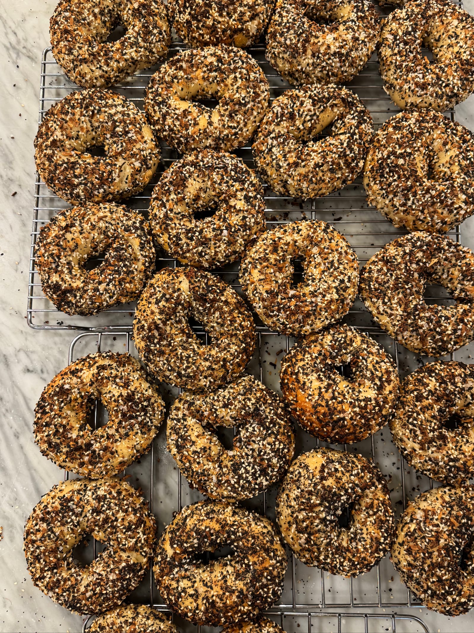 Fresh bagels